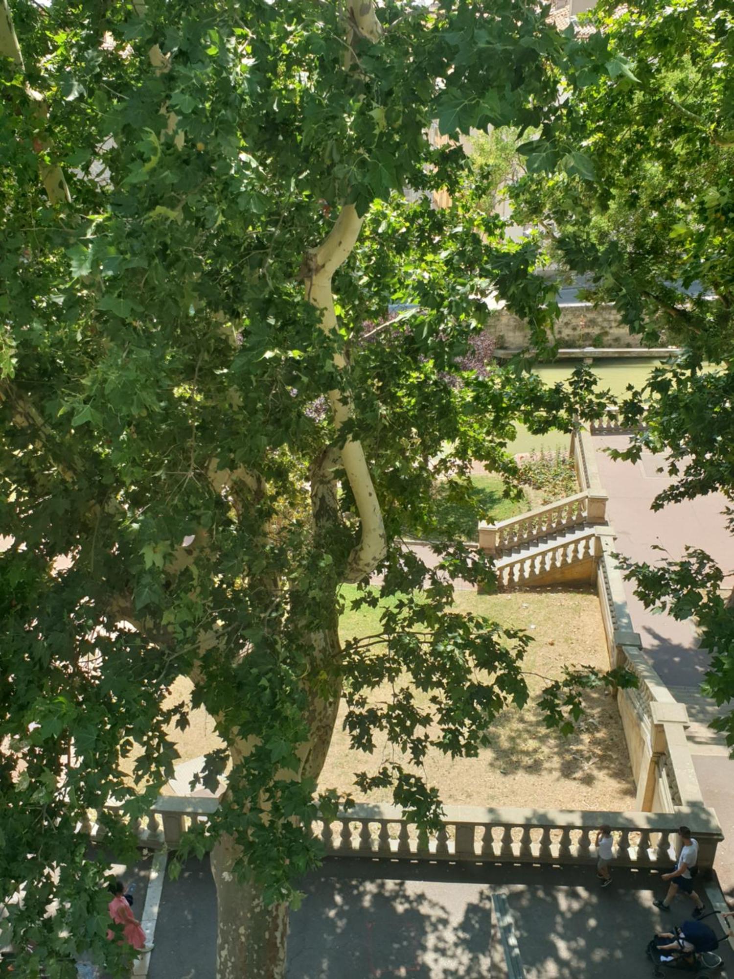 Via Narbona Appartement Buitenkant foto